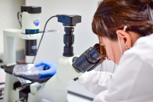 <p>The researchers analysed healthy as well as pancreatic cancer tissue samples</p>