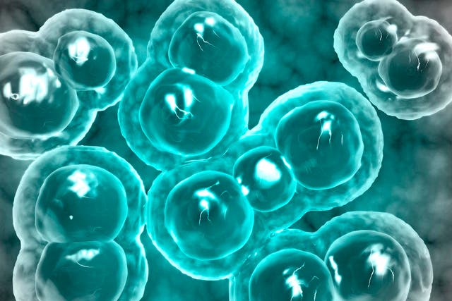 <p>The team believes their AI-enhanced blood test could make screening for male infertility more accessible </p>